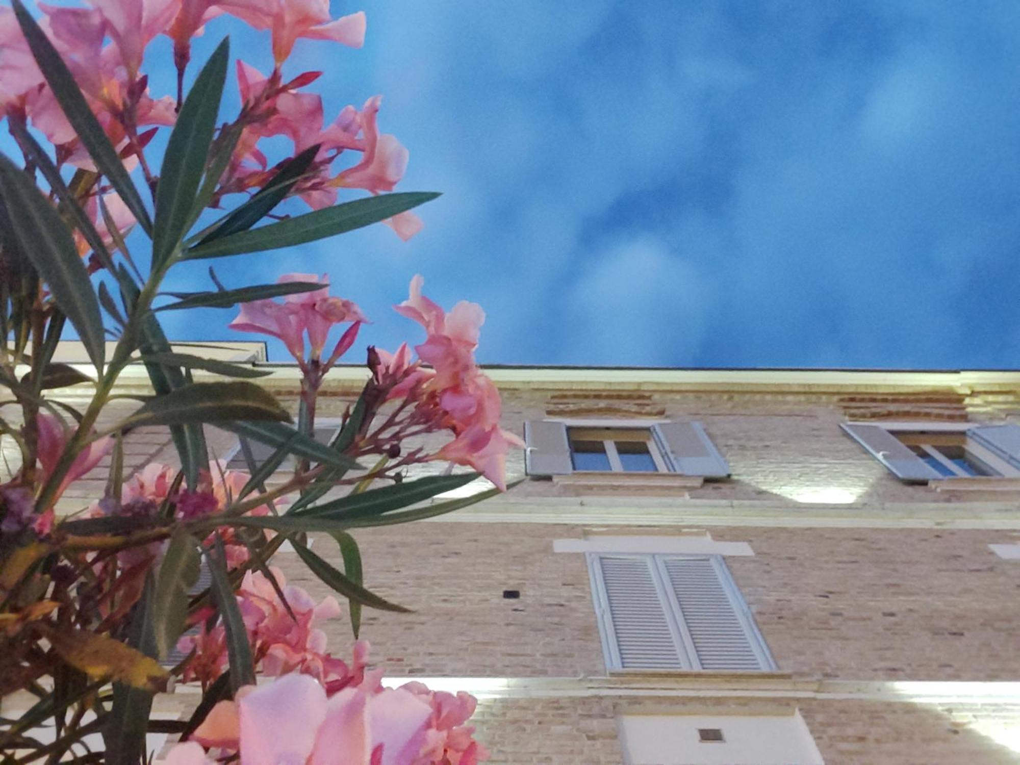 Cossignano Villa Contessina المظهر الخارجي الصورة
