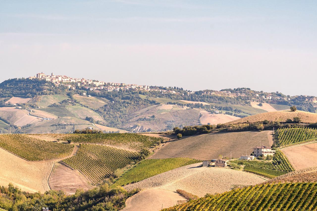Cossignano Villa Contessina المظهر الخارجي الصورة